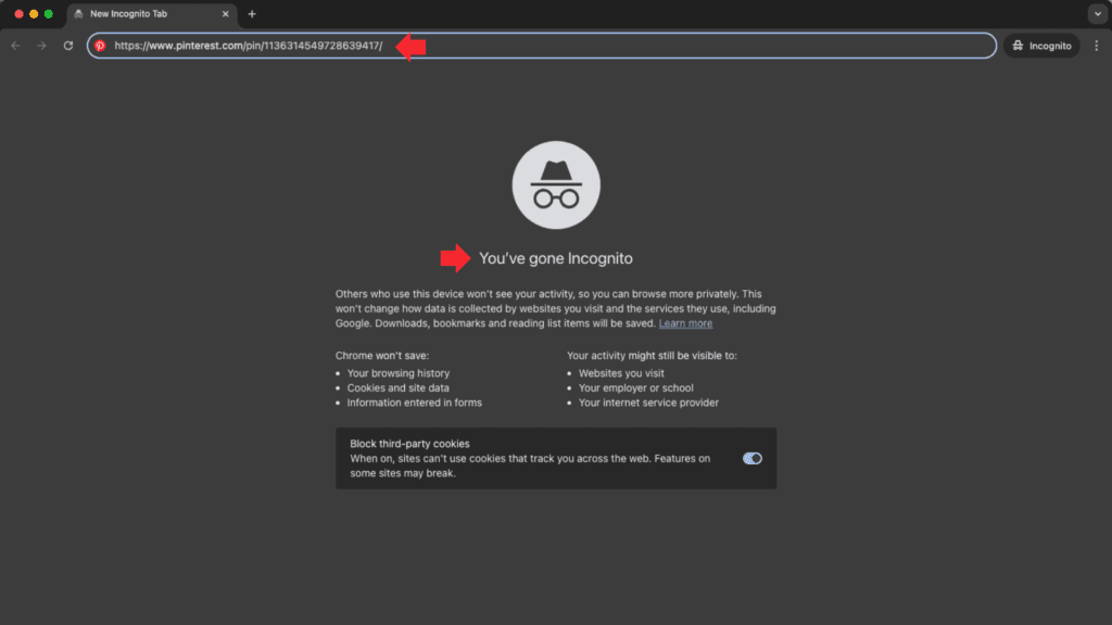 Chrome incognito mode screen showing a Pinterest URL.
